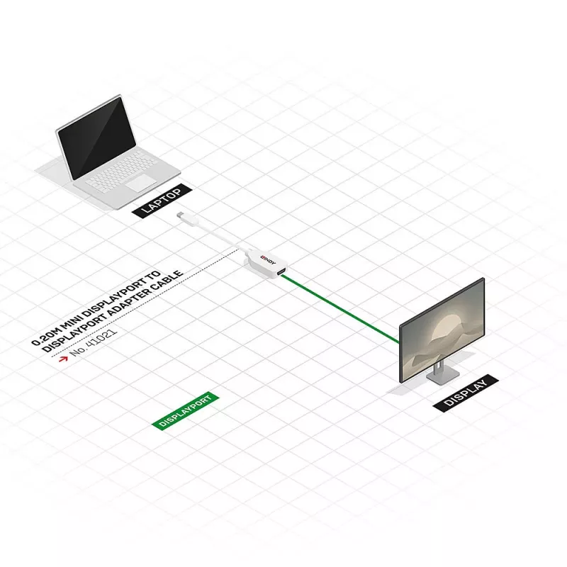Lindy 0,20 m Mini DisplayPort na DisplayPort adaptérový kábel, 0,15 m, Mini DisplayPort, DisplayPort, konektor samec, konektor samica, biela