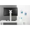 Neomounts FPMA-D890WHITE stojan na monitor 10-30 inch, voľne stojaci, 6 kg, 25,4 cm (10 inch), 76,2 cm (30 inch), 100 x 100 mm, biely