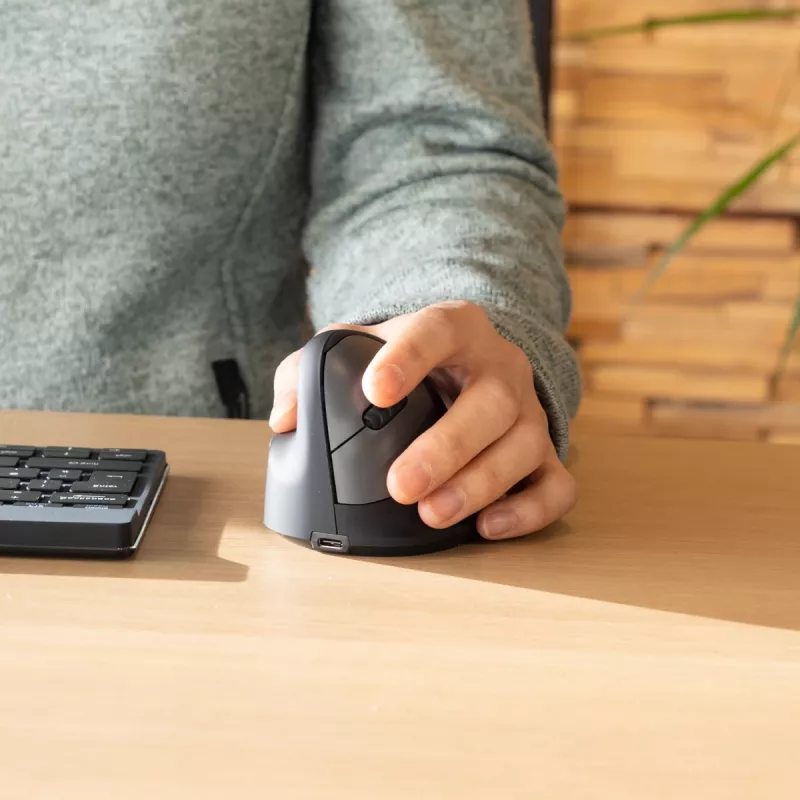 R-Go Tools Ergonomická myš R-Go HE Break so softvérom na prestávky, stredná (veľkosť ruky 165-185 mm), ľavá, Bluetooth, čierna