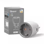 Smart zásuvka Sonoff S60 16A s Wi-Fi, diaľkové ovládanie a monitorovanie energie