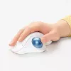 Myš Logitech ERGO M575 Wireless Trackball RF Wireless + Bluetooth