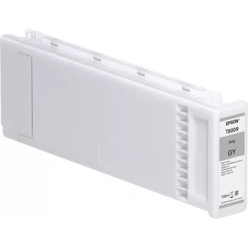 Epson samostatné balenie sivá T800900 UltraChrome PRO 700 ml