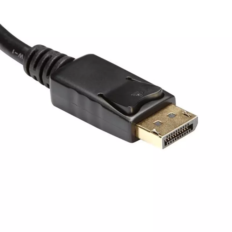 StarTech.com DP2HDMI2 video adaptér / prevodník z DisplayPort na HDMI, samec/samica, do 1920x1200, 25 cm