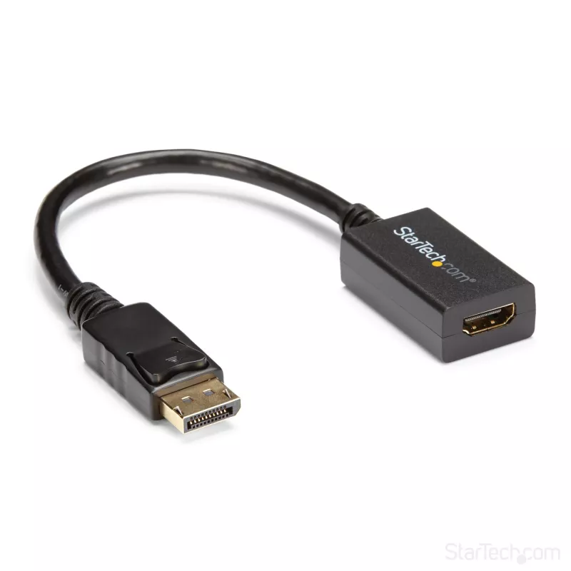 StarTech.com DP2HDMI2 video adaptér / prevodník z DisplayPort na HDMI, samec/samica, do 1920x1200, 25 cm