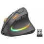 Myš SPEEDLINK SL-630026-BK RF Wireless Optical