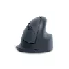 R-Go Tools vertikálna myš R-Go HE Basic, ergonomická myš, stredne veľká (veľkosť ruky ≥ 185 mm), pravoruká, Bluetooth, sivá