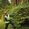 Teleskopické nožnice na živý plot DeWALT DCMPH566N-XJ