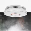 Nedis DTCTCS10WT kombinovaný detektor dymu a oxidu uhoľnatého, biely