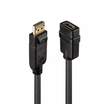 Lindy DisplayPort 1.2 na HDMI 1.3 konvertor