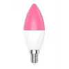 Inteligentná žiarovka WOOX R9075 Wi-Fi 5 W biela