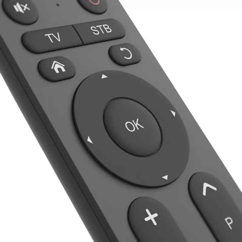 Hama 00221056 univerzálny diaľkový ovládač na televízor 2v1, IR, veľké tlačidlá, učiaci sa, čierny