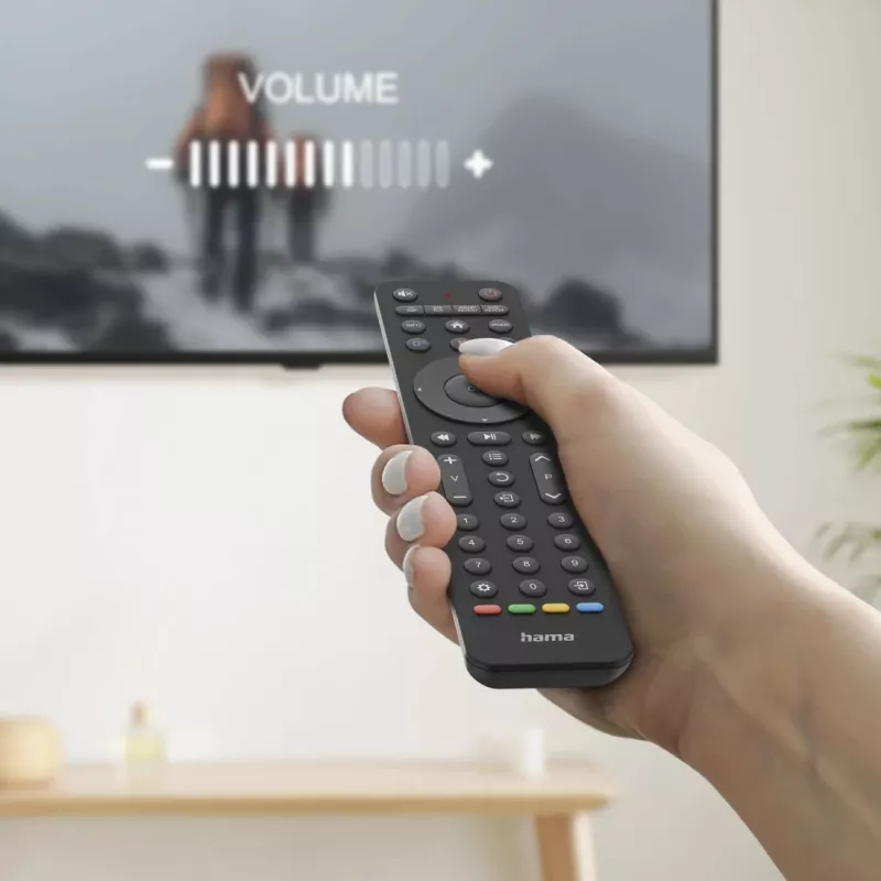 Hama 00221055 diaľkový ovládač IR Wireless TV tlačidlá