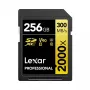 Pamäťová karta Lexar 256 GB SDXC Class 10 LSD2000256G-BNNNG