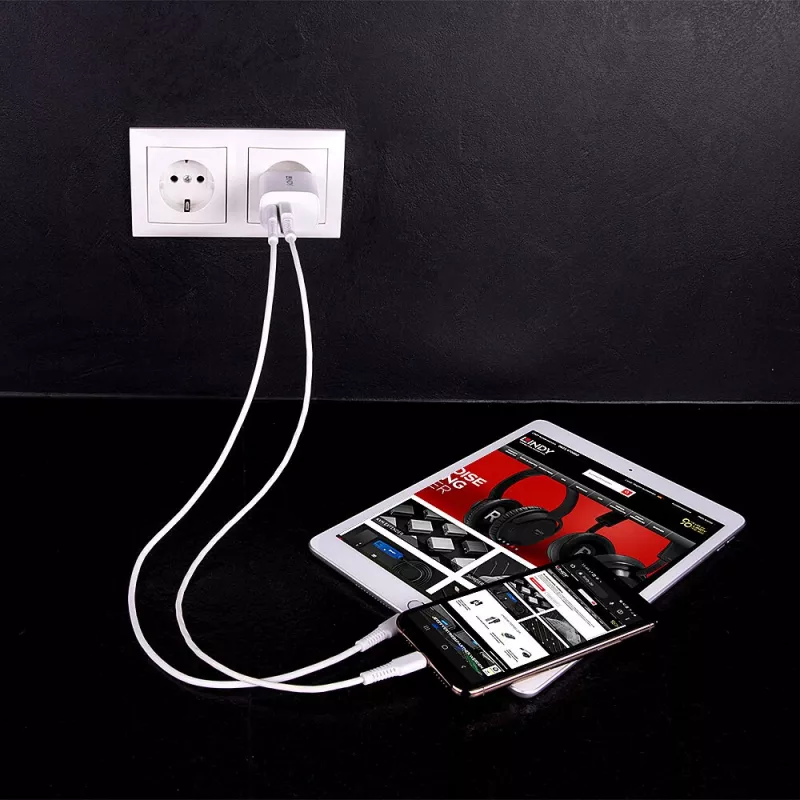 Lindy 73413 nabíjačka USB-A a USB-C, 20 W, Power Delivery, 100–240 V, biela