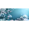 Xerox Original ® C320 Color Printer/C325 Color Multifunction Printer azúrová tonerová kazeta s vysokou kapacitou (5500 strán) - 006R04828