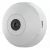 Axis M3067-P 01731-001 kupolová sieťová monitorovacia kamera, farebná (deň a noc)