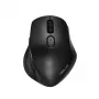 ASUS MW203 myš kancelárska pravá ruka RF Wireless + Bluetooth optická 2400 DPI