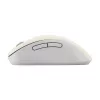 ASUS Wireless MD102 myš univerzálna pravá ruka RF Wireless + Bluetooth optická 1600 DPI