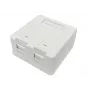 Lanview LVN127767 prípojná krabica 2 x RJ-45 biela