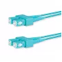Lanview LVO231476 InfiniBand/skrížený optický kábel 10 m 2x SC akvamarínová