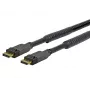 Vivolink PRODPAM10 DisplayPort kábel 10 m čierny