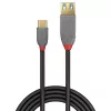 Lindy 0,15 m USB 3.2 Type-C na A adaptérový kábel, 10 Gbit/s, Anthra Line