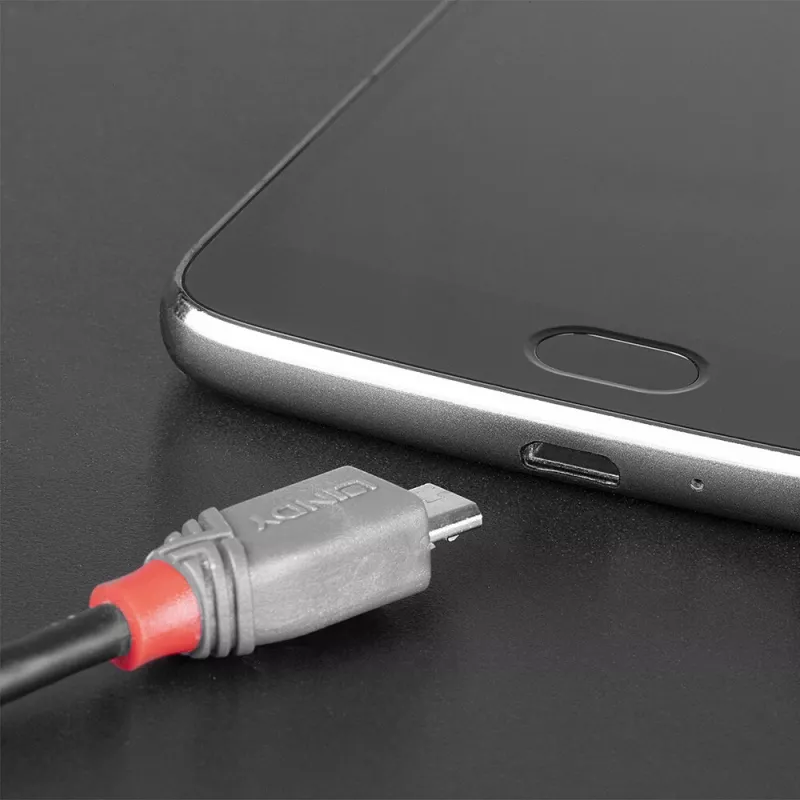 Lindy 2 m USB 2.0 Type-C na Micro-B kábel, Anthra Line