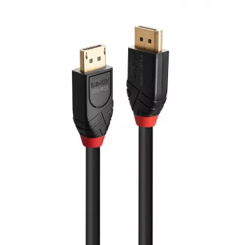 DisplayPort kábel Lindy 10 m aktívny DisplayPort 1.4 kábel
