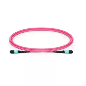 Lanview LVO230403-MTP InfiniBand optický kábel 3 m fialový