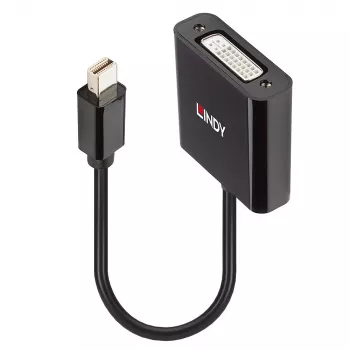 Lindy Mini DisplayPort na DVI aktívny konvertor 0,16 m čierny