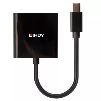 Lindy Mini DisplayPort na DVI aktívny konvertor 0,16 m čierny
