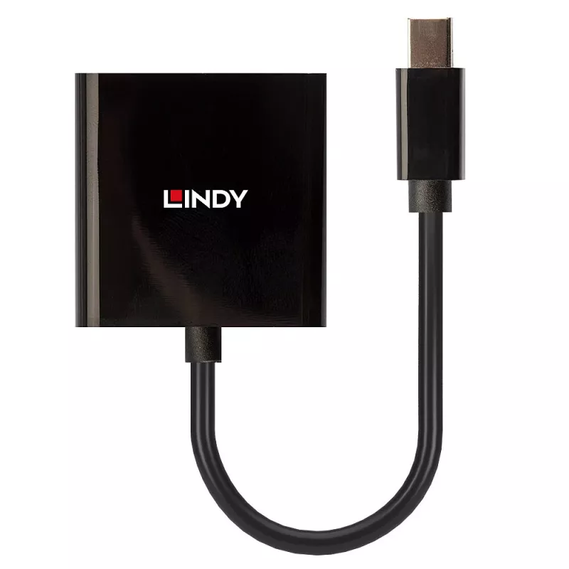 Lindy Mini DisplayPort na DVI aktívny konvertor 0,16 m čierny