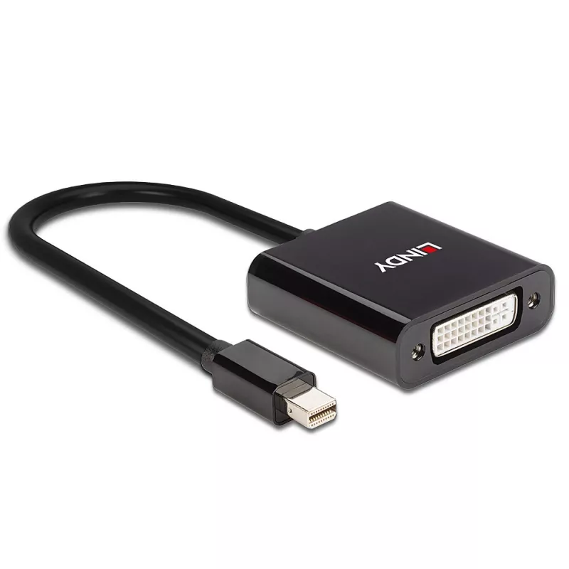 Lindy Mini DisplayPort na DVI aktívny konvertor 0,16 m čierny