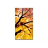 Sharp MultiSync PN-M982 interaktívny plochý displej 2,48 m (97,5 palcov) LED 550 cd/m² 4K Ultra HD čierny 24/7