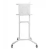 Vivolink VLFS3770 mobilný stojan na TV, otočný, VESA 200x200 - 600x400 mm, biely