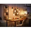 Philips Hue A60 – E27 smart lampa, smart lampa, Bluetooth/Zigbee, biela, LED, E27, A60