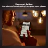 Smart žiarovka Philips ST64 Edison E27 Bluetooth/Zigbee, 7 W, transparentná, 60×135 mm