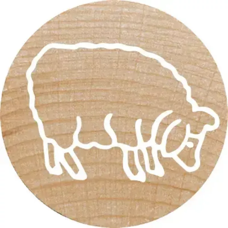 Okrúhla pečiatka Colop 165225 guma drevo 3 cm priemer