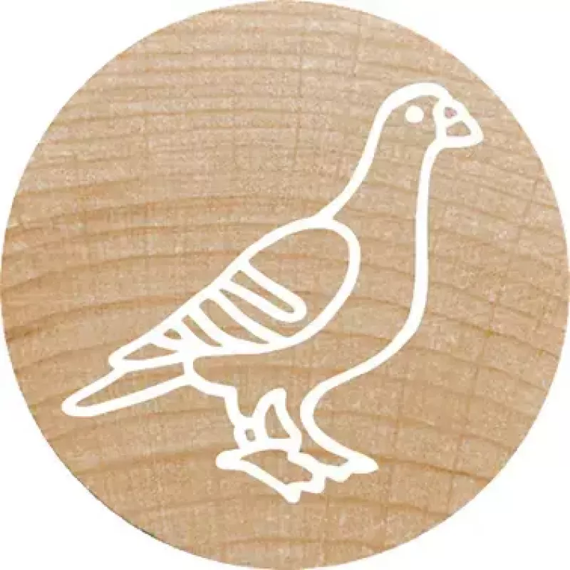 Pečiatka Colop 165224 okrúhla guma drevo 3 cm
