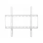 Techly ICA-PLB-162MW TV nástenný držiak 139,7 cm (55 palcov) biely