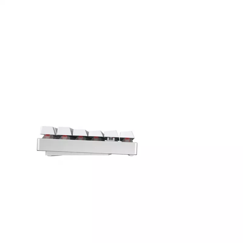 CHERRY MX 8.2 TKL Wireless RGB herná klávesnica RF Wireless + Bluetooth QWERTZ nemecká biela