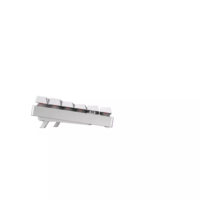 CHERRY MX 8.2 TKL Wireless RGB herná klávesnica RF Wireless + Bluetooth QWERTZ nemecká biela