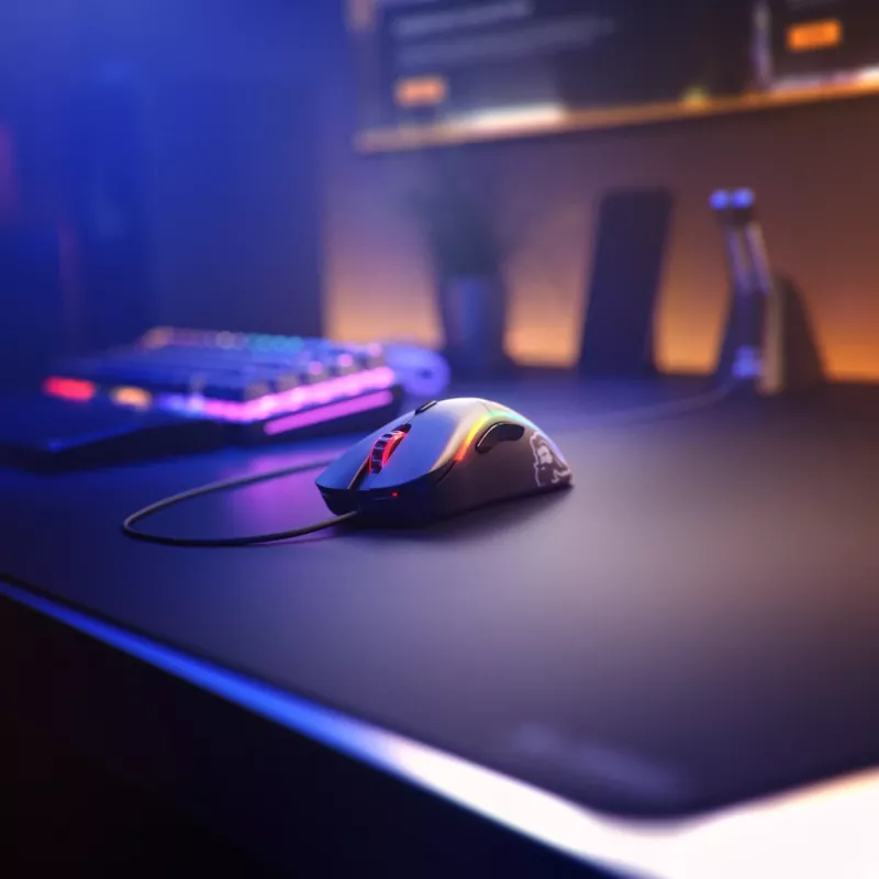 Glorious Gaming Glorious Model D myš Regular (čierna)