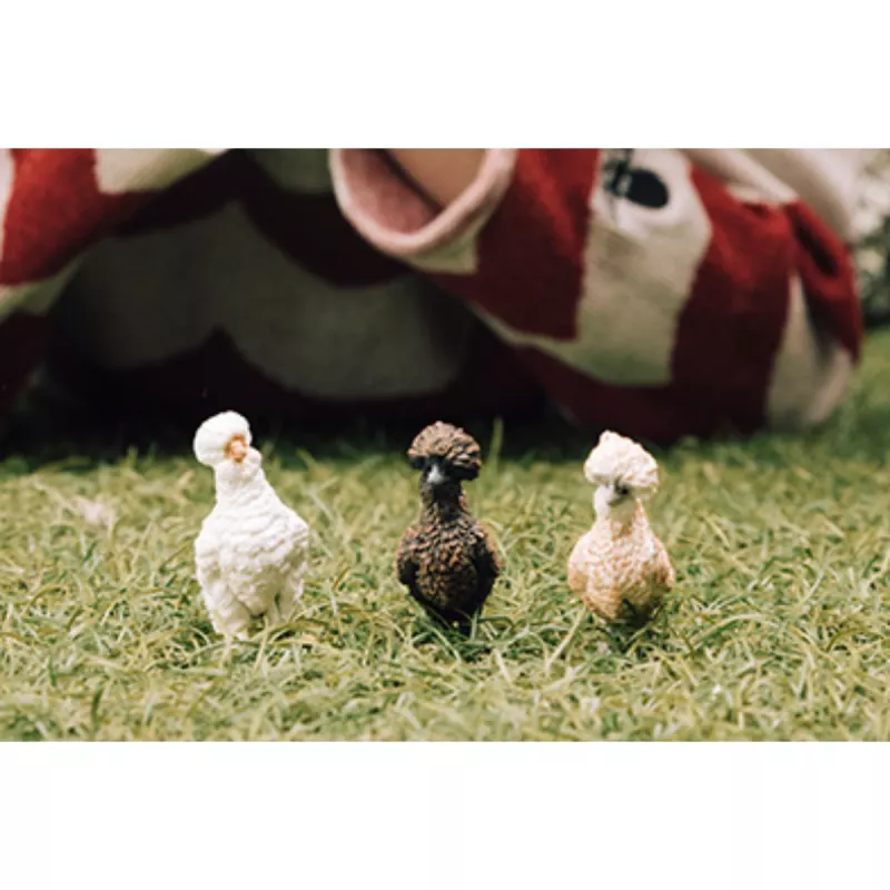Figúrky Schleich FARM WORLD Priatelia sliepok viacfarebné 42574