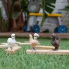 Figúrky Schleich FARM WORLD Priatelia sliepok viacfarebné 42574