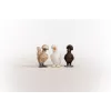 Figúrky Schleich FARM WORLD Priatelia sliepok viacfarebné 42574