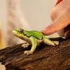 schleich WILD LIFE Európska rosnička, 3 rok(y), les, divé zvieratá/dobrodružná hračka, viacfarebné
