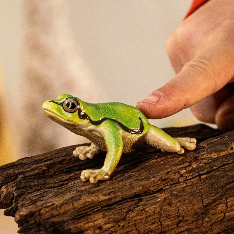 schleich WILD LIFE Európska rosnička, 3 rok(y), les, divé zvieratá/dobrodružná hračka, viacfarebné