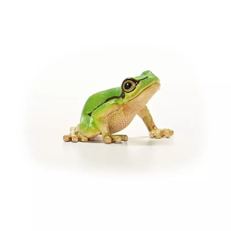 schleich WILD LIFE Európska rosnička, 3 rok(y), les, divé zvieratá/dobrodružná hračka, viacfarebné