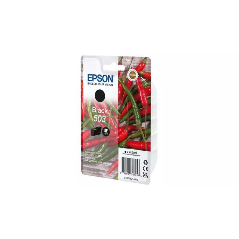 Epson 503 atramentová kazeta 1 ks originálna štandardná výdrž čierna